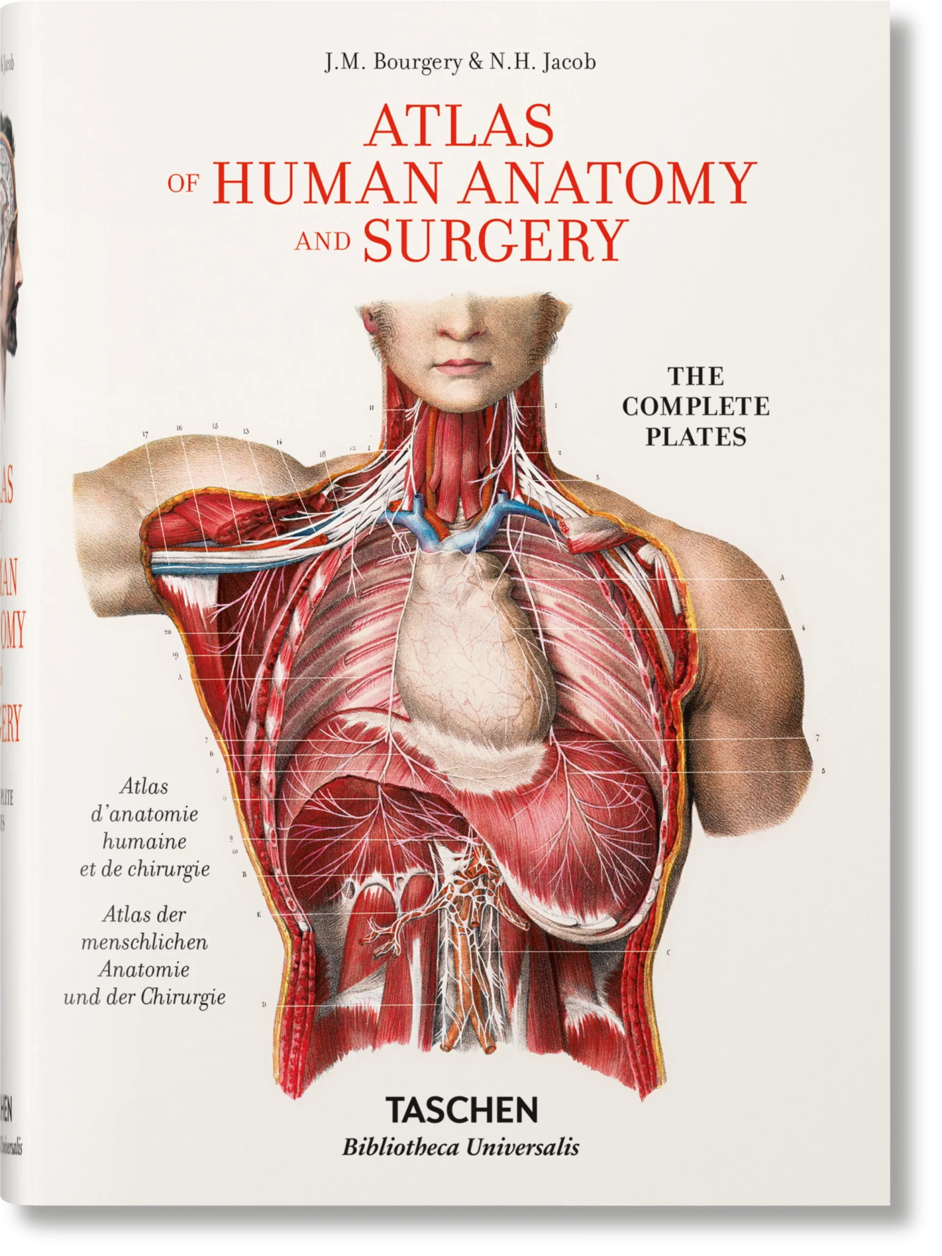 6684fab623cfa88cc204e39bd30dfea0 Bourgery. Atlas of Human Anatomy and Surgery – Bild 1
